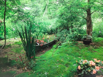 Lush patio planting