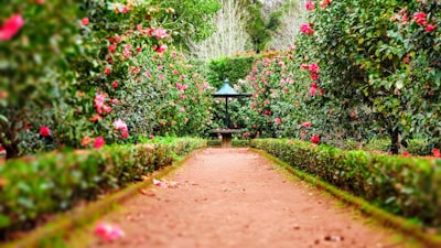 Structured garden beds